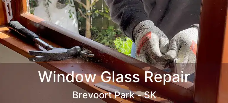  Window Glass Repair Brevoort Park - SK