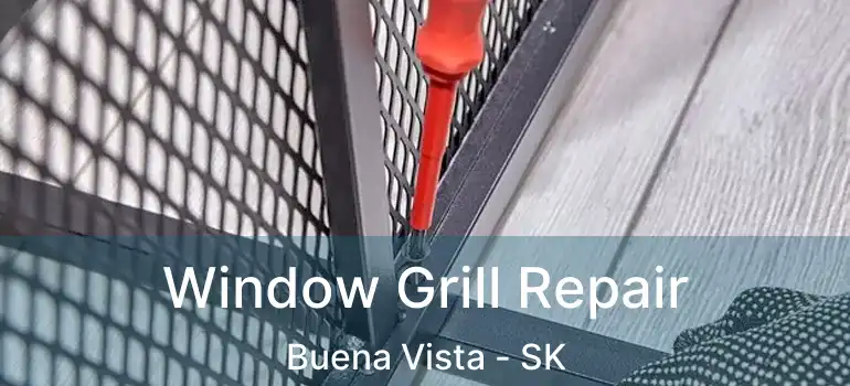  Window Grill Repair Buena Vista - SK