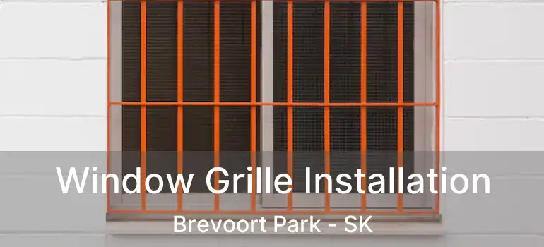  Window Grille Installation Brevoort Park - SK