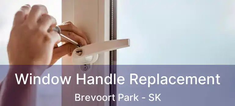  Window Handle Replacement Brevoort Park - SK