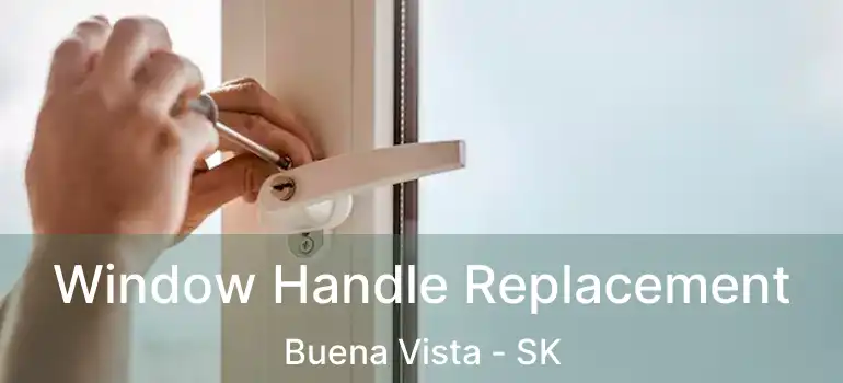  Window Handle Replacement Buena Vista - SK