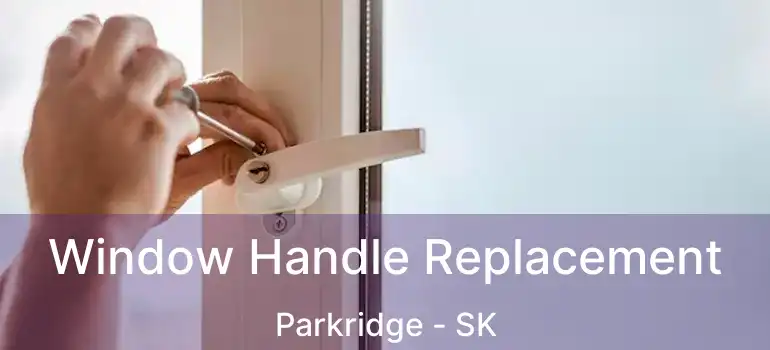  Window Handle Replacement Parkridge - SK