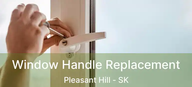  Window Handle Replacement Pleasant Hill - SK