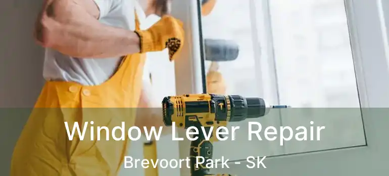  Window Lever Repair Brevoort Park - SK