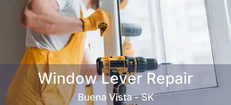  Window Lever Repair Buena Vista - SK