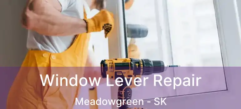  Window Lever Repair Meadowgreen - SK