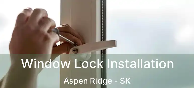  Window Lock Installation Aspen Ridge - SK