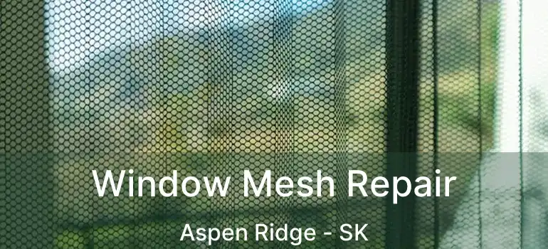  Window Mesh Repair Aspen Ridge - SK