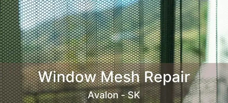  Window Mesh Repair Avalon - SK