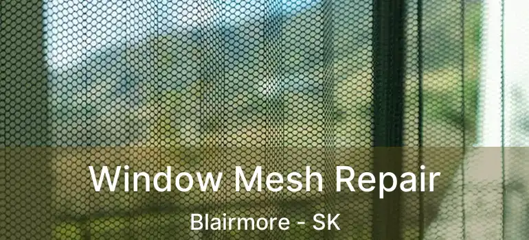  Window Mesh Repair Blairmore - SK