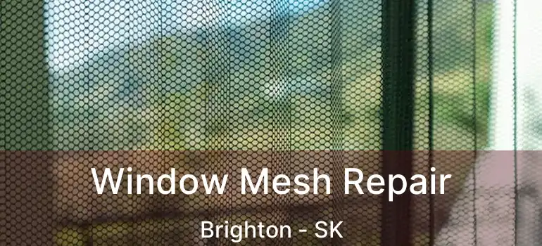  Window Mesh Repair Brighton - SK