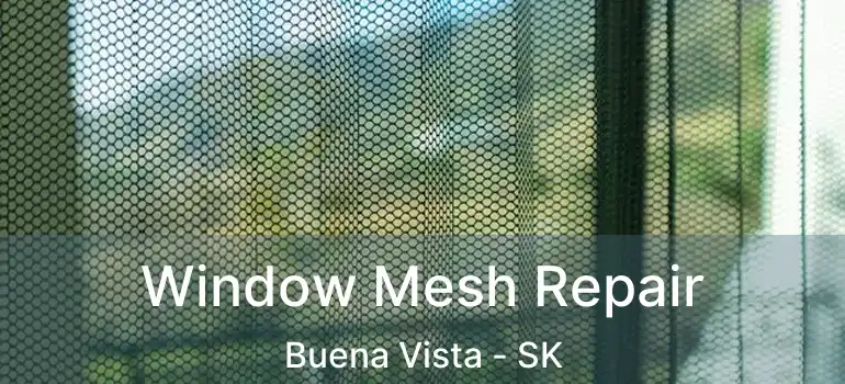  Window Mesh Repair Buena Vista - SK