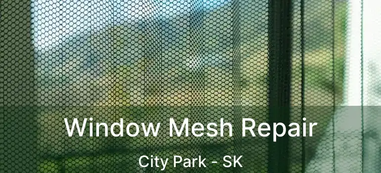  Window Mesh Repair City Park - SK