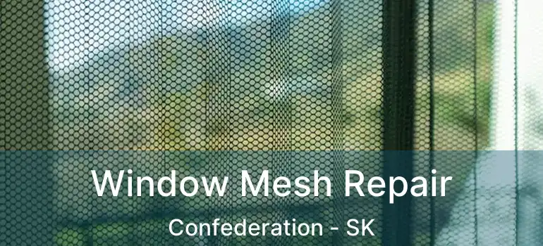  Window Mesh Repair Confederation - SK