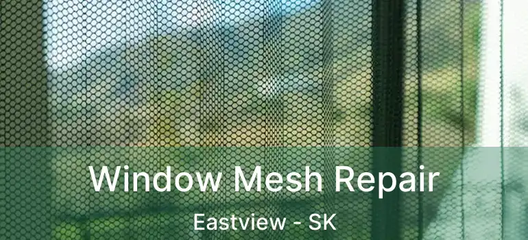  Window Mesh Repair Eastview - SK