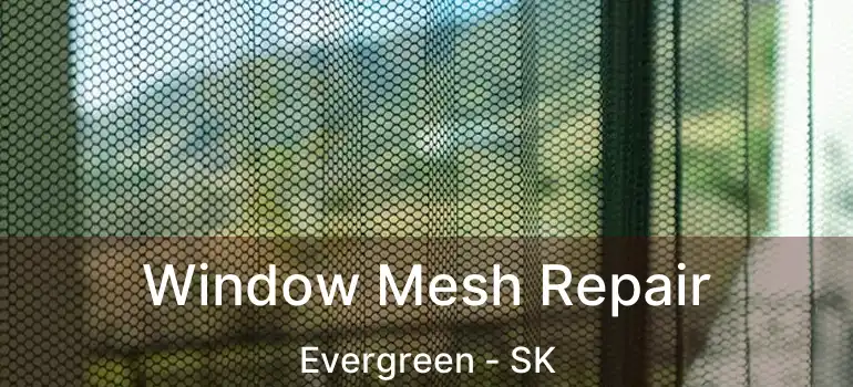  Window Mesh Repair Evergreen - SK