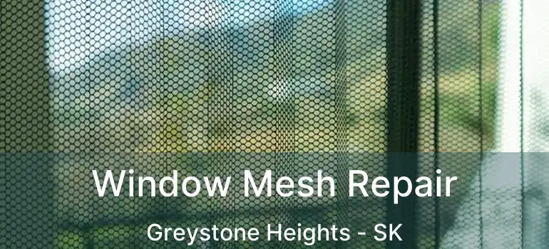  Window Mesh Repair Greystone Heights - SK