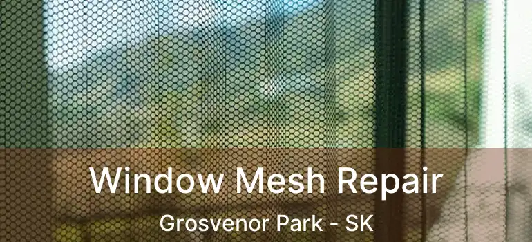  Window Mesh Repair Grosvenor Park - SK