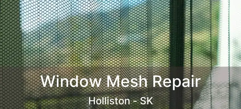  Window Mesh Repair Holliston - SK