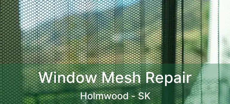  Window Mesh Repair Holmwood - SK