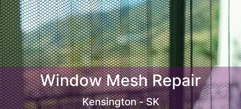  Window Mesh Repair Kensington - SK