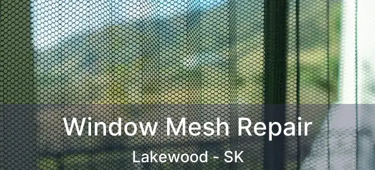  Window Mesh Repair Lakewood - SK