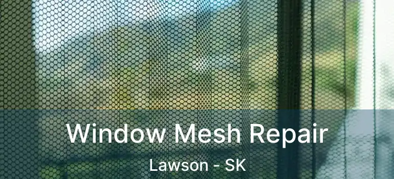  Window Mesh Repair Lawson - SK