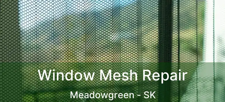  Window Mesh Repair Meadowgreen - SK