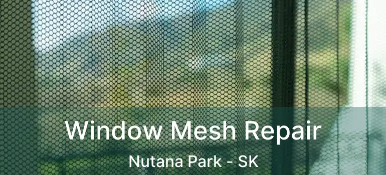  Window Mesh Repair Nutana Park - SK