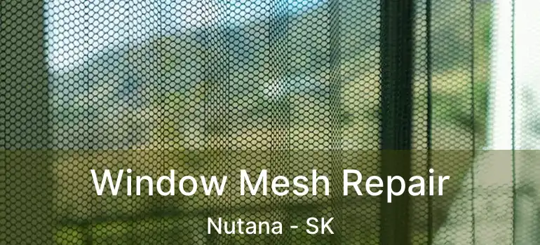  Window Mesh Repair Nutana - SK