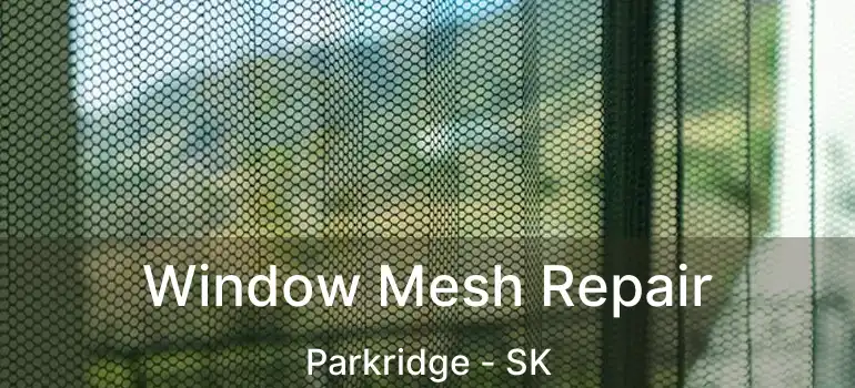  Window Mesh Repair Parkridge - SK