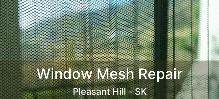  Window Mesh Repair Pleasant Hill - SK