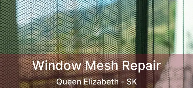  Window Mesh Repair Queen Elizabeth - SK