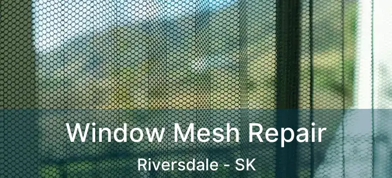  Window Mesh Repair Riversdale - SK