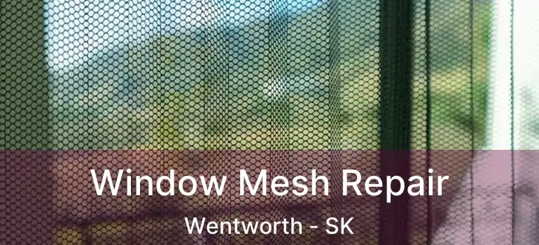  Window Mesh Repair Wentworth - SK