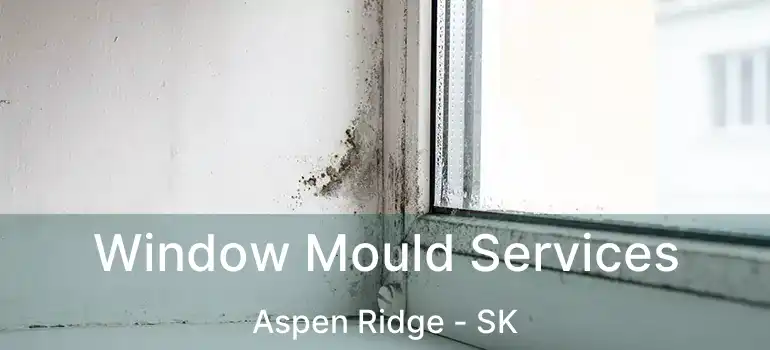  Window Mould Services Aspen Ridge - SK