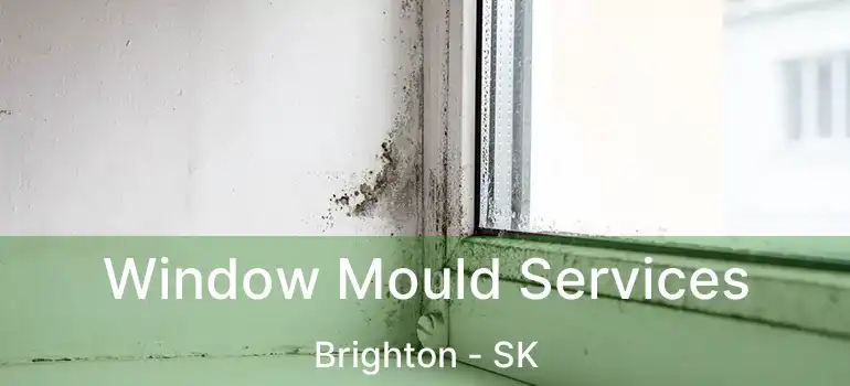  Window Mould Services Brighton - SK