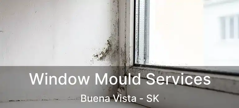  Window Mould Services Buena Vista - SK