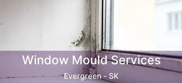  Window Mould Services Evergreen - SK