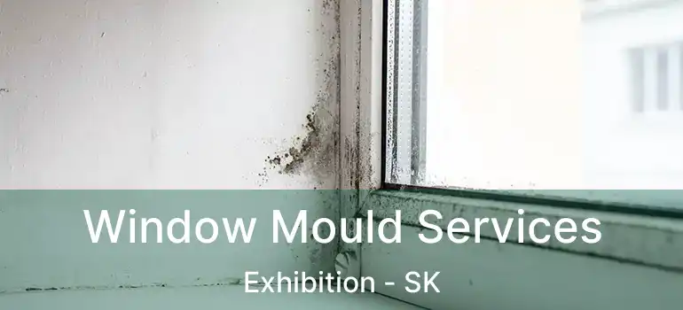  Window Mould Services Exhibition - SK