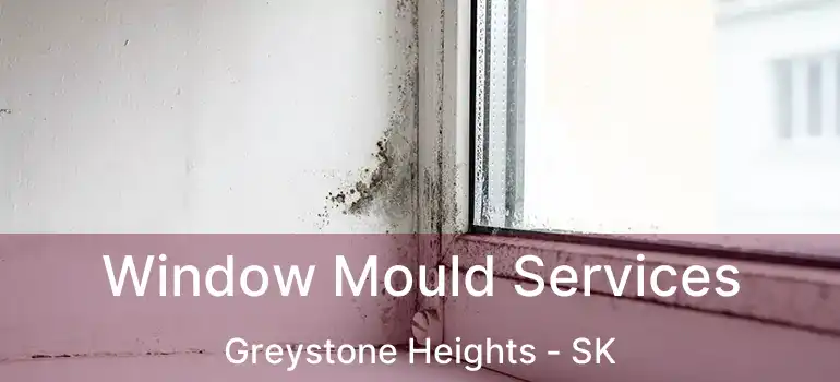  Window Mould Services Greystone Heights - SK