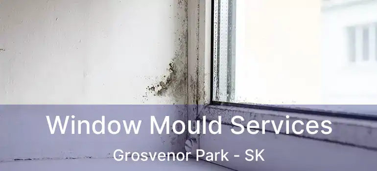  Window Mould Services Grosvenor Park - SK