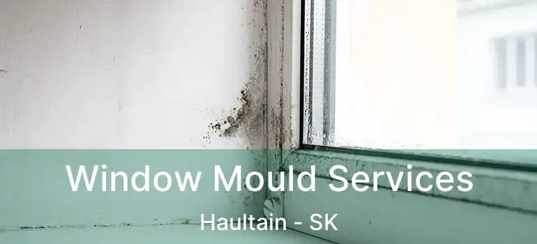  Window Mould Services Haultain - SK