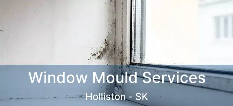  Window Mould Services Holliston - SK