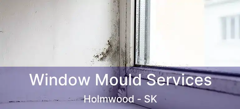  Window Mould Services Holmwood - SK