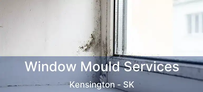  Window Mould Services Kensington - SK