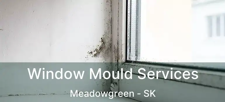  Window Mould Services Meadowgreen - SK