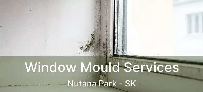  Window Mould Services Nutana Park - SK