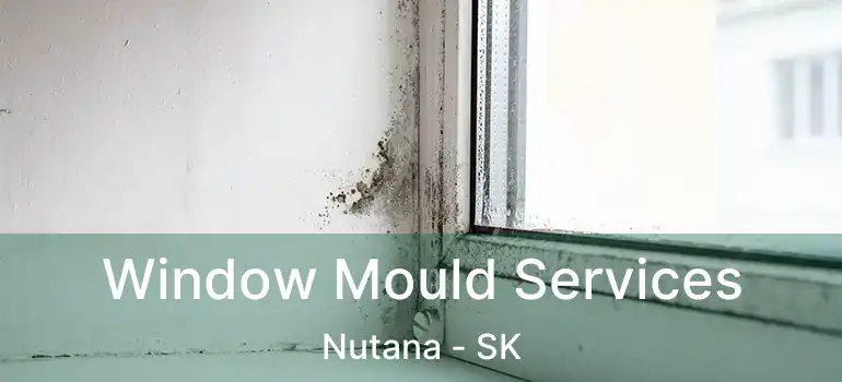  Window Mould Services Nutana - SK