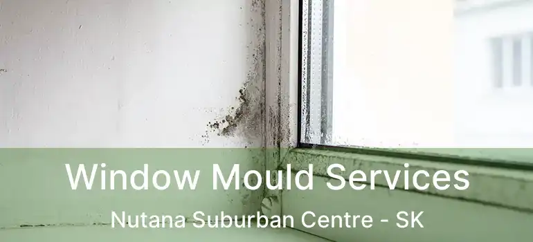  Window Mould Services Nutana Suburban Centre - SK